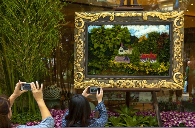 Visitors photograph a plant painting within the new Spring display at the Bellagio Conservatory & Botanical Gardens on Thursday, March 20, 2014.